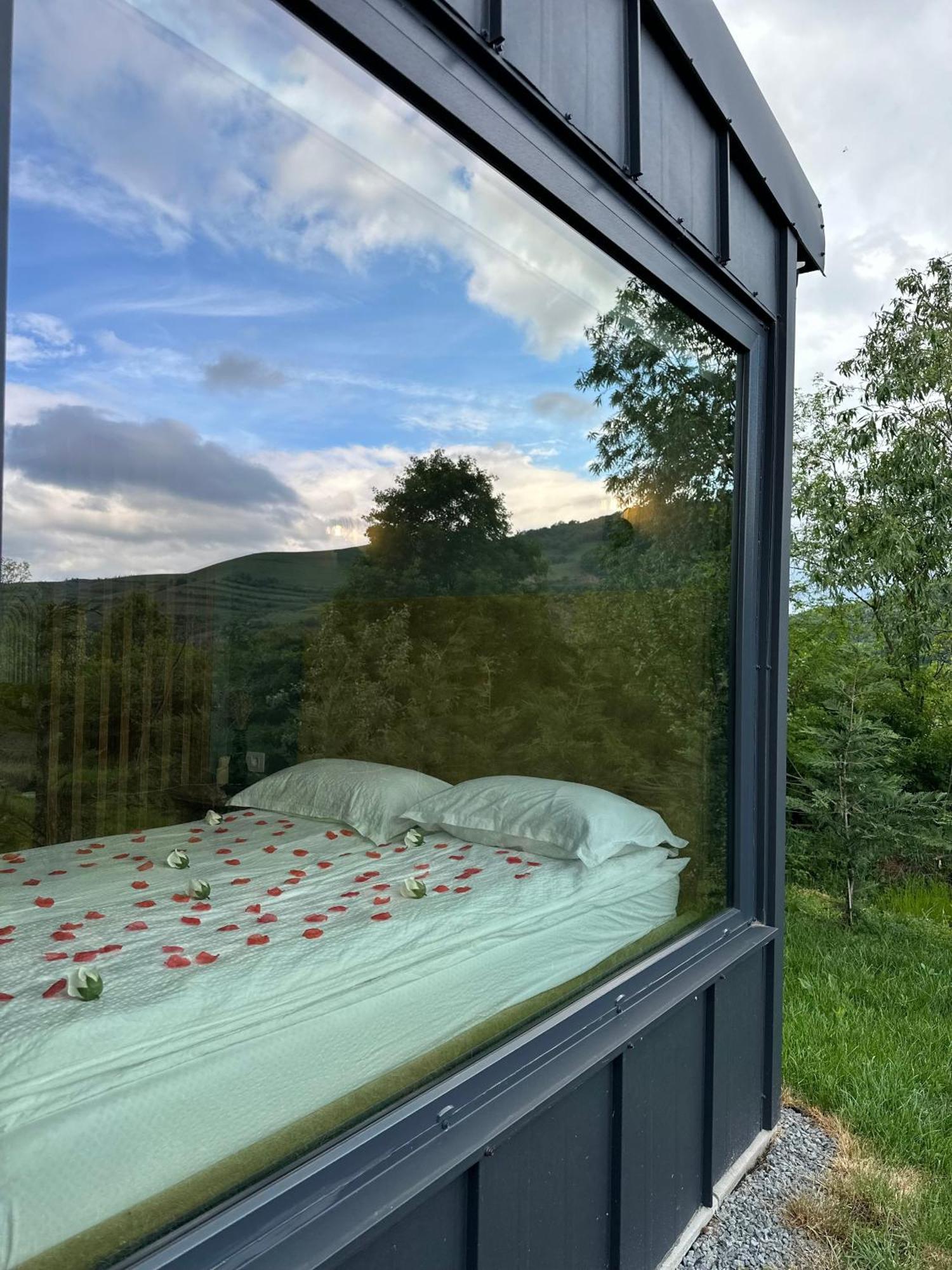 Kubiq Transalpina Villa Petresti ภายนอก รูปภาพ