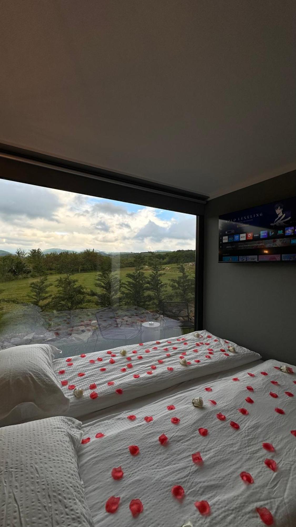 Kubiq Transalpina Villa Petresti ภายนอก รูปภาพ
